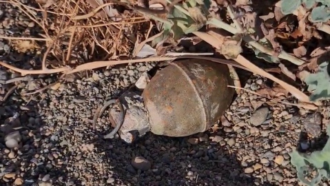 İznik Gölü'nde bomba alarmı!