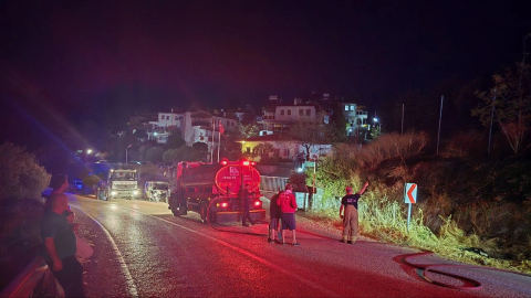 Mudanya'da korkutan yangın! Otluk alandan alevler yükseldi