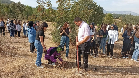Orhaneli'de yangının izleri siliniyor!