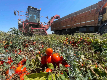Planlama eksiliği Bursalı üreticiyi zora soktu!