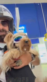 Bursa'da köpeği ile markete alınmayan vatandaş isyan etti