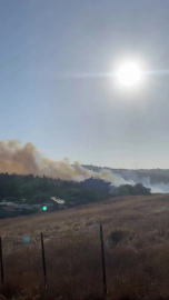 Bursa’da çalılık alanda yangın