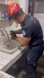 Bursa'da kedi kurtarma operasyonu!