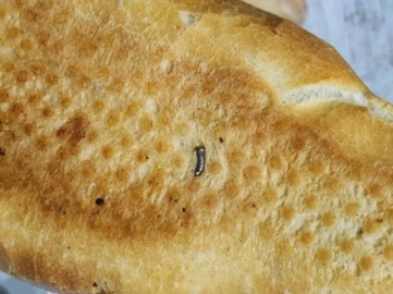 Ekmeğin içinden çıkan şoke etti