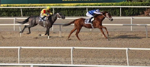 Bursa Büyükşehir Belediye Başkanlığı Koşusu düzenlendi