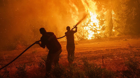 Bakan Yumaklı, orman gönüllülerine ilişkin düzenlemeyi değerlendirdi