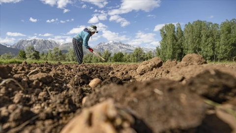 Çiftçilere bugün 4,5 milyar liralık destekleme ödemesi yapılacak