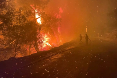 Ciğerlerimiz yanıyor! Alevler yerleşim yerlerine ulaştı