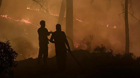 Orman gönüllülerine maaş desteği!