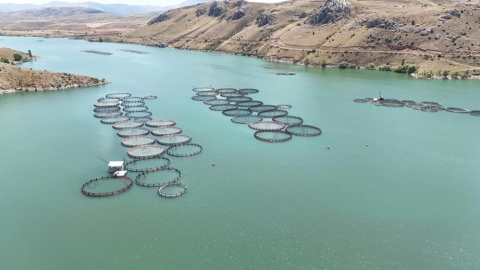 497 milyon dolarlık ihracat... AB'de lider olduk!