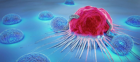 Kanserin sessiz türü: Kronik Miyeloid Lösemi