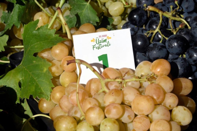 Osmangazi'de kalite yarışı! Tek tek incelendiler