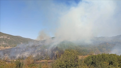 Burdur’daki orman yangını söndürüldü