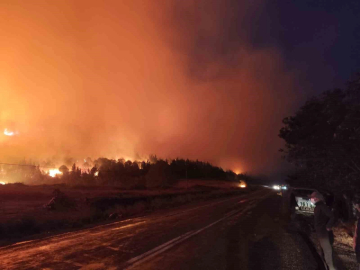 Bursa’da orman yangını...Rüzgarın etkisiyle büyüdü