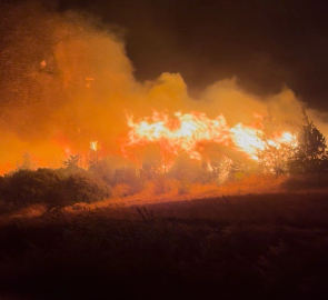 Bursa’daki orman yangını büyüyor! Yerleşim alanları boşaltıldı
