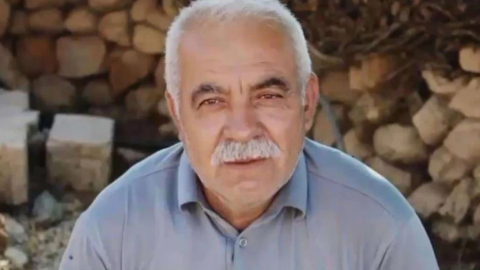 Ağaçtan düştü, hayatını kaybetti!