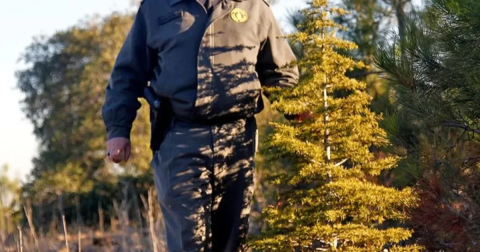 Bursa’da kamuya iş fırsatı! 262 kişilik daimi kadro açıldı