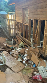 Uludağ’da ayılar barakalara girdi, ortalık darmadağın oldu