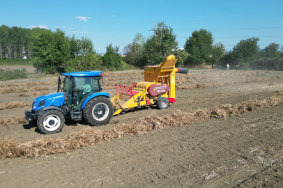 İnegöl'ün cerrah kuru fasulyesinde hasat zamanı