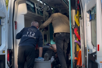 Uludağ'da kestane kavgası kana bulandı