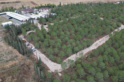 İnegöl Belediyesi'nden can dostlarına yeni yuva