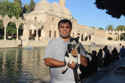 Balıklıgöl'e düşen kedi kalp masajıyla hayata döndü