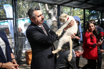 Bursa'da sahipsiz hayvanlar için merkez açıldı