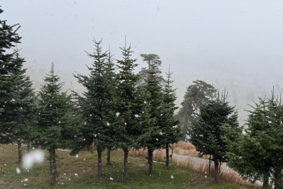Bolu'nun yüksek kesimlerine kar yağdı