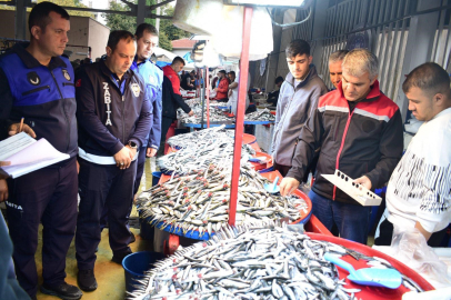 Bursa'da balık pazarlarına sıkı denetim