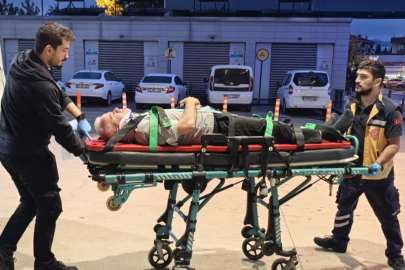 Bursa'da ceviz ağacından düşen adam ağır yaralandı