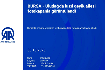 Uludağ'da kızıl geyik ailesi fotokapanla görüntülendi