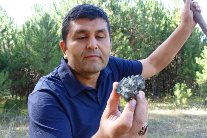 Mantar toplarken göktaşı buldu