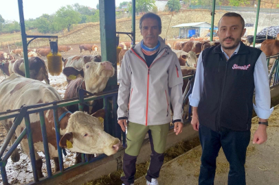 Bursa'da süt üretimi yapay zeka ile destekleniyor
