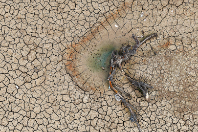 Bursa'da kuraklık haberleri peş peşe geldi: Gölbaşı Göleti 5 ayda kurudu!