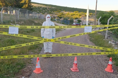 Şap alarmı: 12 mahalle karantinaya alındı