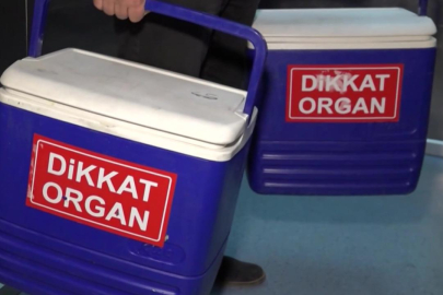 Türkiye'de 32 bin 500 kişi organ nakli bekliyor
