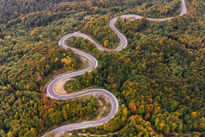 İnegöl ormanlarında renk cümbüşü