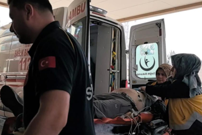 Bursa'da ağaçtan düşen adam hayatını kaybetti