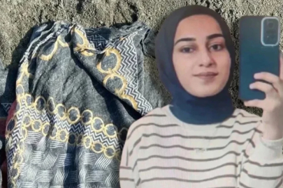 Rojin Kabaiş'e hakarete tutuklama