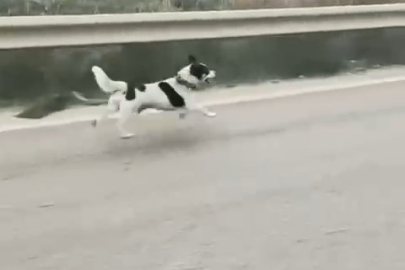 Bursa'da yürek burkan anlar...