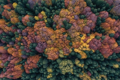 Uludağ'da kartpostallık görüntüler