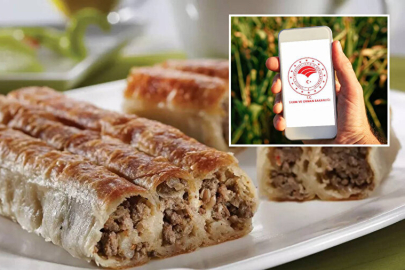 Bursa’da skandal! Döner ve börekte kanatlı eti ve sakatat çıktı