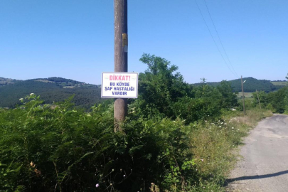 Şap alamı: 34 köy karantinada