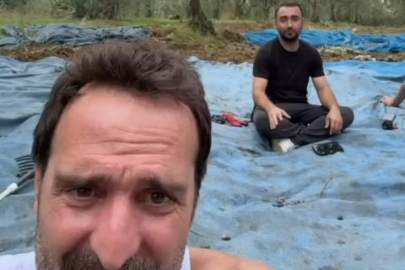 Çakallarla Dans’ın Köfte Necmi’si ilk zeytin hasadını yaptı