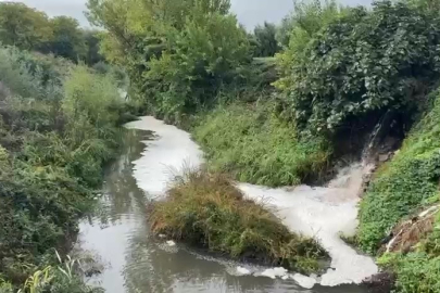 Gemlik Körfezi'nde kirlilik endişeye yolaçıyor