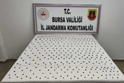 Jandarma'dan İznik'te tarihi operasyon