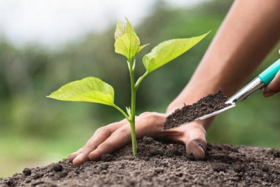 Bursa'da "Bir Bilet Bir Fidan" konseri düzenlendi