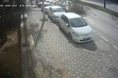 Bursa'da fırtına ağacı böyle devirdi