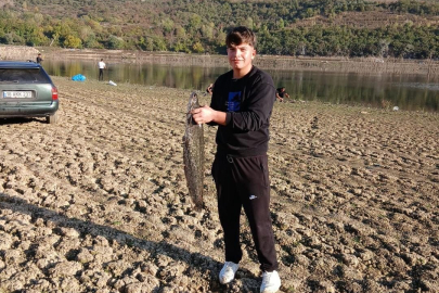 Bursa'da kuruyan gölde ava çıktılar!