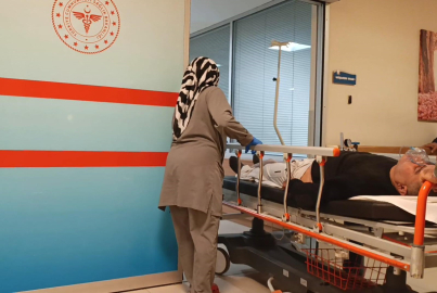 Mantar sezonu açıldı: Bursa'da zehirlenme haberleri peş peşe geldi